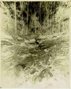 Pinhole negative