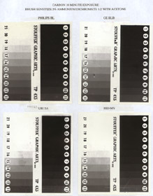 Carbon Test