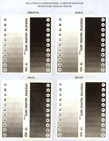 Kallitype Toned in Platinum Test
