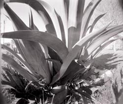 Test with precision pinhole