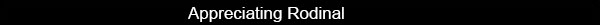 Rodinal-Banner