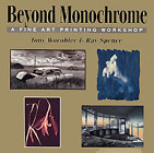 Beyond Monochrome