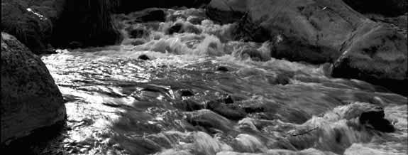 Barton Creek