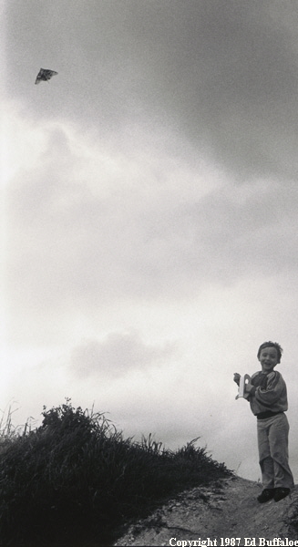 Kite