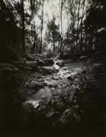 Stream on Barton Creek