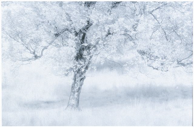 Copyright Tim Rudman