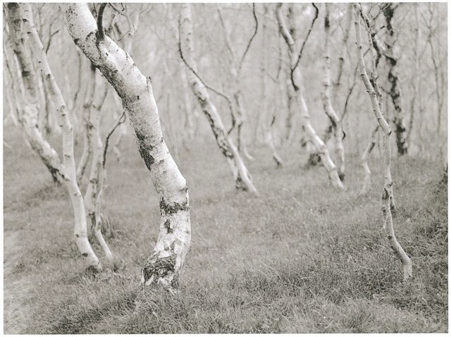 Copyright Tim Rudman