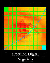 Precision Digital Negatives, by Mark Nelson