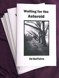 Waiting for the Asteroid - click here to order